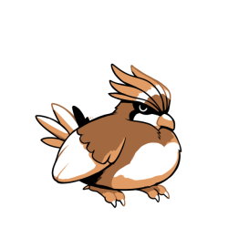 rumwik:  Comfy bird…  