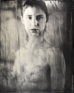 b7lab:  16x20â€³ Ambrotype - Kyotocat 2015Note: sometimes your silver bath goes insane. This plate came totally out of the blue, next plate was completely back to normal.