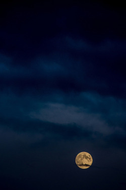 moon-kitties:  Nature~astrology~spiritual ☼  The man in the moon with a mustache