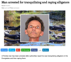 wiselwisel:  Florida man ha sido arrestado por drogar aligátores y luego violarlos.[La noticia]