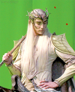thranduilings:  I really don’t have words anymore for this man just please stop him  