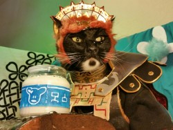 cat-cosplay:  A thought occurs to Ga'nyan'dorf… who needs Hyrule Castle anyways? Lon Lon Ranch would be a much more powerful base of operations. Afterall… He who controls the Milk Controls the Universe! “Heh heh heh…”  Cat Cosplay Tumblr 