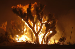 sleepinghues:The Terrible Beauty of California’s PowerHouse FireSource