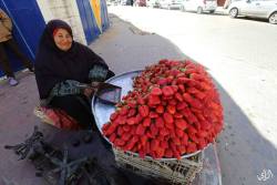 gettingahealthybody:  lahciguapa:momo33me:An old woman sells strawberries in ‎Gaza‬ . 2 February 2015  Those are the most beautiful strawberries I ever seen. I’ve reblogged them before, but I would be head over heels for a basket of strawberries