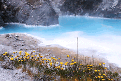 leahberman:  azul breath hot creek geological site, mono county, california instagram 