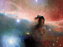 physisblog:  Famous horse head shape out of a distant nebula. 