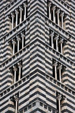 davidjulianhansen:Il Duomo Siena, Italy