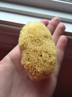Pro tip: Use a sea sponge instead of a tampon to continue working while on your period. I picked this tip up from an ex-escort from Vegas, she used to swear by it. Mine is a bit small it’s the biggest but firmest I could find unfortunately, but it works