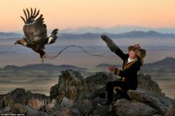 lamarghe73:  Ashol Pan. 13 year old Ashol Pan is one of the estimated last 250 Mongolian eagle hunters left in the world. And one of the very few women that are granted the privilege to be trained in this ancient, traditional hunting method. Golden eagles