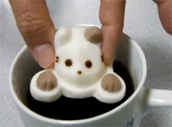 zeick-geist:  peachsap-deactivated20141130:  肉球マシュマロ CafeCat  excellent now I can watch a cat slow die while I enjoy a warm beverage 