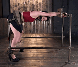 predicament-and-ponygirl-riding:  This may looks harmless, but: heels, bent knees and a forcibly forward bent back! Together with the ballgag, this makes up for a nice “think again” setting.