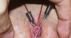pussymodsgalore  BDSM. Vacuum pumped and tied off clit pierced by two needles. Lovely! 