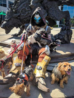 sixofcaydes:  If the union between Bungie and Blizzard blessed us with anything it was these beautiful photos. Sources: 1/2/3/4 / Cosplay by Gridpassion 
