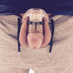 chastityrocks:  Day 1. Securely locked using the guardian anti-pullout. :) user submitted photo, thank you. 