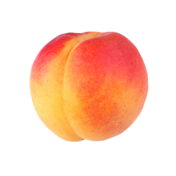 tiniestpeach:Peach! 🍑