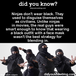 did-you-kno:  Ninjas don’t wear black. They used to disguise themselves as civilians. Unlike ninjas in movies, the real guys were smart enough to know that wearing a black outfit with a face mask wasn’t the best strategy for blending in.  Source