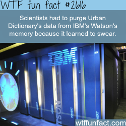 wtf-fun-factss:  IBM’s Watson’s Learning how to swear - WTF fun facts