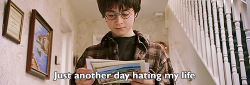 kripke-is-my-king:maulsmistress:raphmike:Harry Potter and the Philosopher’s Stone.  I think the fandom has gone off their rocker.  Honestly we maintained our sanity longer than I had expected. 