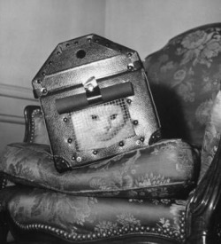 English cat in reinforced carrier during WWII - his own personal bomb shelter. Clearly not happy about it, though.