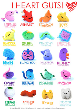 carry-on-my-wayward-butt:  portentouscatastrophe:  WHEN I WAS IN BIOLOGY LAST YEAR I ENDED UP TALKING OUTLOUD ABOUT HOW I WANT THE UTERUS AND THE SPLEEN PLUSHIE AND NO ONE UNDERSTANDS HOW PERFECT THESE ARE EVERYONE TAKE ONE  the uterus looks like it’s