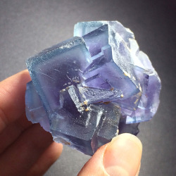 phenomenalgems:  💎🔮 I’ve got some seriously beautiful blue and purple zoned Bingham Fluorite clusters available right now, and they are selling fast! Bingham, NM, yields some of the loveliest blue fluorite in the world—this classic American