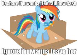ask-pony-companion-cube:  ask-giant-scootaloo:  shadowbolt-scootaloo:  chromeregios:  I WANNA!!! YES!!!  I WANT ONE!  ((YESYESYESYESYES!!!!))  dat rebagle tho  I normally refuse to reblog these kinds of things but omfg dat adorbs Dashie ;w; &lt;333