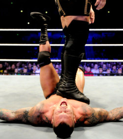 fishbulbsuplex:  The Big Show vs. Randy Orton  OUCH!! Poor Randy!