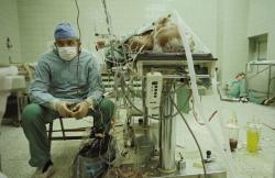 peterfromtexas:  Heart surgeon after 23-hour (successful) long heart transplantation. His assistant is sleeping in the corner