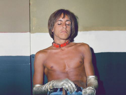 soundsof71:  Iggy Pop in dog collar and evening gloves, 1970,  by Frank Pettis