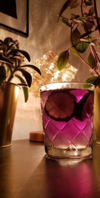 explodinglobsters: G’T - pine wood infused gin, herbal tonic water, topped with butterfly pea tea ( hence the colour ) garnished with lime slices or frozen berries+flowers