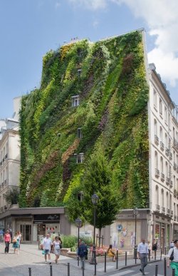 culturenlifestyle:  Exquisite Vertical Gardens Cascade Over the Concrete Jungle by Patrick BlancInstallation artist Patrick Blanc is immensely familiar with the realm of plants and their magical beauty. Blanc installs stunning carpet like greenery on