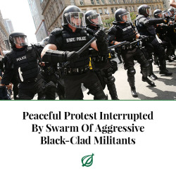 theonion:PHILADELPHIA—Quickly turning what had been an orderly demonstration into a violent melee, a peaceful protest Friday was reportedly interrupted by a swarm of aggressive, black-clad militants. According to bystanders, the protesters had been