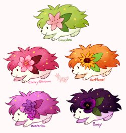 princessharumi:  My third set of Pokemon Variations c: I’ve been wanting to do Shaymin for a while since I had cute ideas, these were a lot of fun. I think Cherry, Pansy, and Pumeria are my favorites c: [ Sylveon Variations ] - [ Poochyena Variations