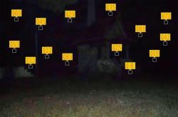 sixpenceee:  The age detection app was used on a photo of an abandoned house. 