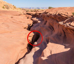 New Post has been published on http://bonafidepanda.com/guy-braved-impenetrable-entrance-canyon-it-there/A Guy Braved an Impenetrable Entrance in a Canyon and Actually Went Through It. You Got To See What He Found In There. Avid travelers and tourists