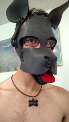 Anyone going to Dore Alley this weekend? Keep an eye out for me and my handler!
