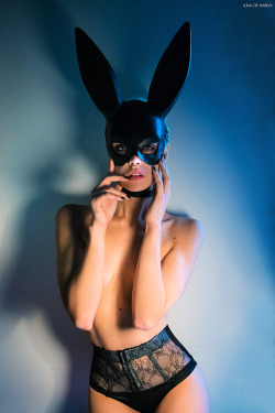Black Bunny - md: AlbaChiaraFOLLOW MY NEW TUMBLR PROFILE 