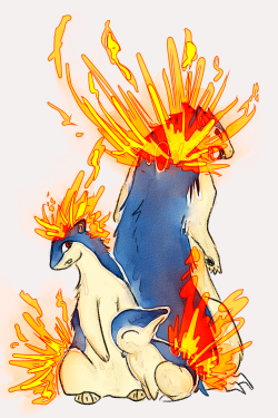 quietspell:   POKEDDEXY 2014 // DAY 26Favourite starter // cyndaquil line  It was actually quite a tough choice, since I’m quite fond of a lot of the starters. However, practicality won out; I can’t draw a lot of the other starters for nuts. 