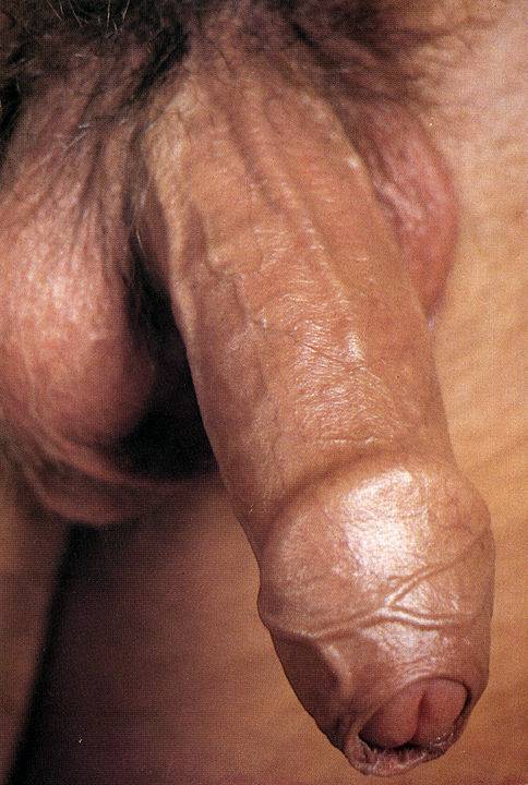 Hot porn pictures Dick torture 9, Long xxx on bigslut.nakedgirlfuck.com
