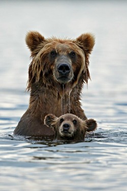 Swimming lessons for junior