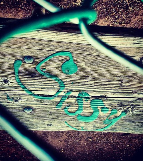 #sissy Sissy.   You write like a girl, sissy.  You swing the bat like a girl, sissy.  You sound like a girl, sissy.  You act like a girl, sissy.  Sissy. https://www.instagram.com/p/CPFPRMMr3XE/?utm_medium=tumblr
