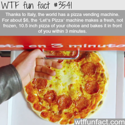 wtf-fun-factss:   The world first pizza vending machine - WTF fun facts