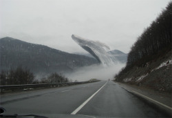 platypusface:  envycamacho:  kim-jong-healthy:  humpback whales in their natural habitat before deforestation forced them into the sea  this is actually so cool  imagine just driving along and seeing a fucking humpback whale tho 