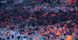 sixpenceee:  FIRE WALKING Here you see gifs of people walking across hot coals that are over 1000 degrees F (535 degrees C).  Some say it’s a mind over matter phenomena. UCLA physics say it’s because when someone walks over hot coals, they walk pretty