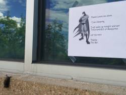 awwww-cute:  The new Bat outside our office door (Source: http://ift.tt/1CTlIMU)