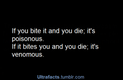 pizzadut:  dudemanbropants:  gryffinpoor:  thepreciousthing:  the-ordinary-nerd:  ask-or-rp-with-will-petrisous:  squad16:  finalellipsis:  bestnatesmithever:  What if it bites me and it dies?  that means you’re poisonous. jesus christ, nate, learn