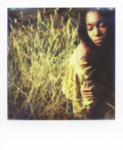 photominimal:  Winter grasses. With Crissa Candler. Nashville / Polaroid 690 / Impossible PX680. Part of a series included on the Impossible Project’s 8 Exposures series. 