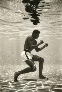 suitsandsuccess:  standnow:  1961: Ali Underwater, Miami  &ldquo;Float like a butterfly, sting like a bee&rdquo; 