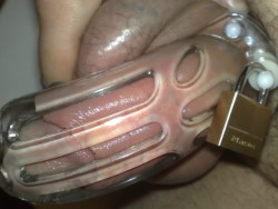 proudofmypiercings:  Me. Into “curve” chastity device thanks to my keyholder fabyyjose 