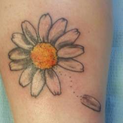 Daisy on Sara. Thank you! #apprentice #apprenticetattoo #art #drawing #daisy #flower  (at Raven&rsquo;s Eye Ink)